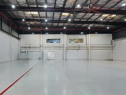 Bellatrix - 1
